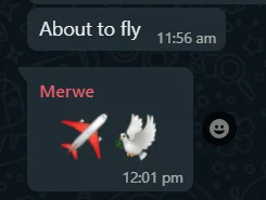 Chat screenshot, saying about to fly with a reply of an aeroplane emoji and a peace dove.