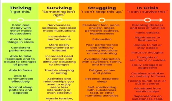 A series of descriptions titled thriving, surviving, struggling, in crisis with signs and symptoms of each