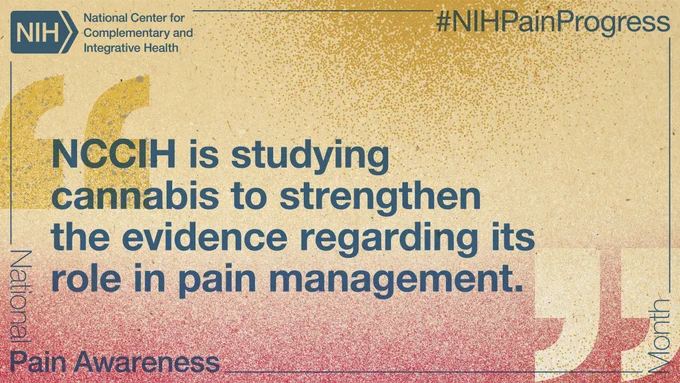 NIH National Center for Complementary and Integrative Health 

"NCCIH is studying cannabis to strengthen the evidence regarding its role in pain management."

National Pain Awareness Month 
#NIHPainProgress