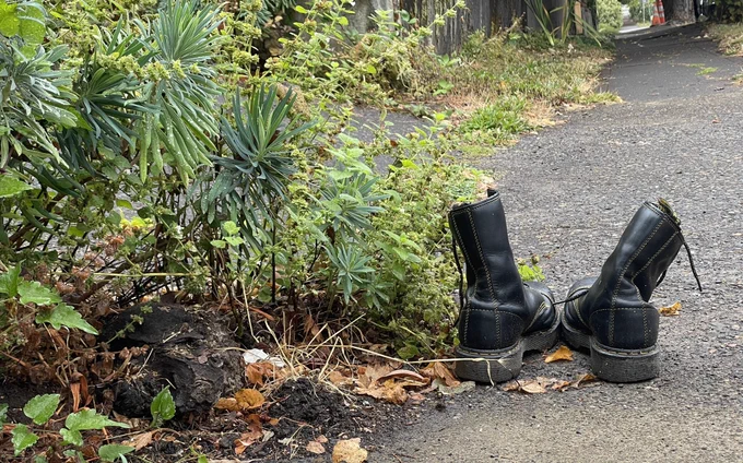 A pair of abandoned Doc Martens boots sits on the sidewalk next to a Euphorbia bush