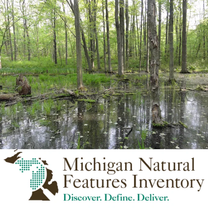 Photo of a vernal pool in a forest with the Michigan Natural Features Inventory Logo featuring an image of Michigan & magnifying glass and the text Discover. Define. Deliver. 
