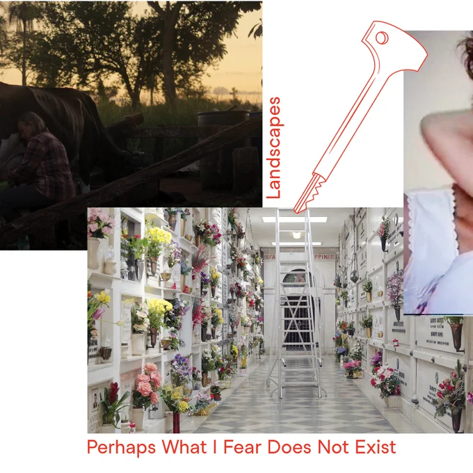 more collages of film stills: a person milking a cow in the twilight (landscapes) and a hall of urns with a huge ladder (perhaps what I fear does not exist)