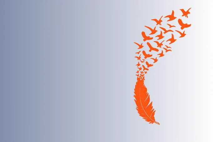 Drawing of an orange feather that turns into birds flying off into a blue-grey background