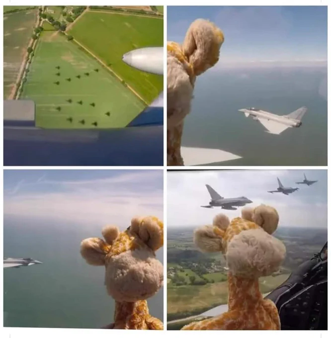 4 images. One showing an inverse '70' shadow on some green fields. It becomes apparent from the other three pictures of a fluffy toy giraffe in the cockpit of a flying plane, with other aircraft visible outside flying nearby that this Giraffe is in the jubilee flypast.