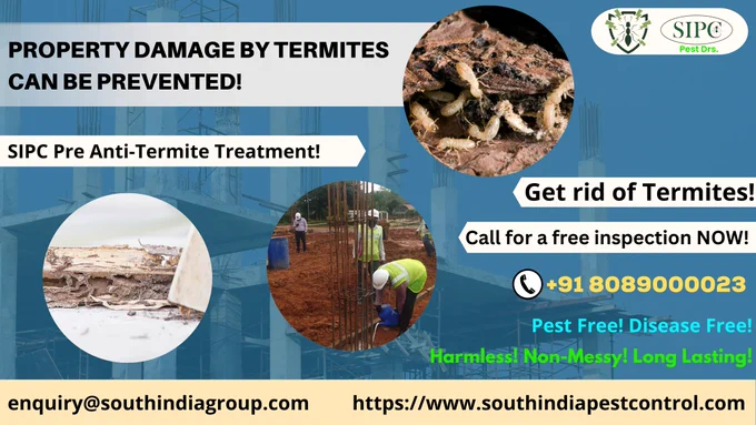 Termite Control, termite treatment, best termite removal, anti termite control, pre termite control, post termite control