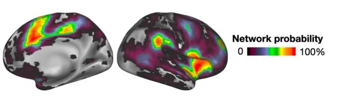 Brain map showing the probability that any given vertex is part of the CO network across people.