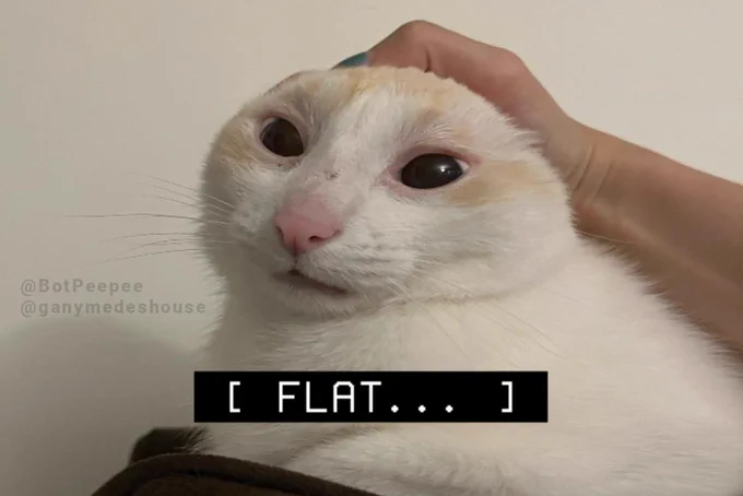 Ganymede the cat's ears are held down by a human hand, making the top of his head appear flat. His expression is mildly bewildered.

Caption (centered below Ganymede's face): [ FLAT... ]