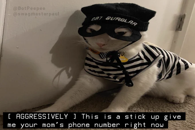 Paul Blart the cat is dressed up in a Halloween costume: a black-and-white striped shirt, a black mask over his eyes, and a beanie that says "CAT BURGLAR."

Caption: [ AGGRESSIVELY ] This is a stick up give me your mom’s phone number right now