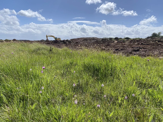 an ancient flower-rich grassland being destroyed by quarry expansion. specialist wildflowers including orchids and meadow thistle are visible in the foreground, while a digger is scraping away the surface in the background