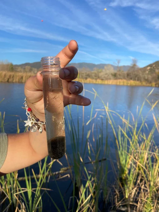 Pala middle and high school students sampled water samples on tribal land and won 2022 DataJam award.