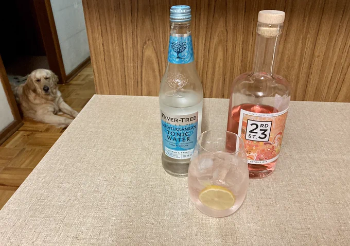 Photo shows a kitchen bench with a bottle of gin, a bottle of tonic, and a gin and tonic in a glass with a slice of lemon. There’s a golden retriever lying in a doorway on the far left, and his eyes are half shut making it seem like he doesn’t approve the drink choice