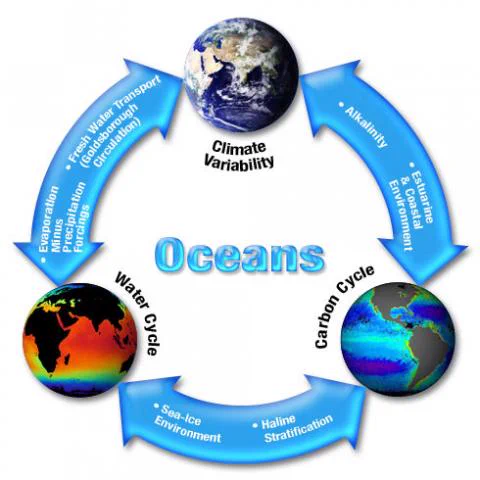 Within Earth system, both the physical and biological processes of the ocean play a key role in the water cycle, the carbon cycle, and climate variability.

Ocean related feedback exists between Climate Variability, Water Cycle and Carbon Cycle. This diagram illustrates the value of the ocean's role in the Earth system.