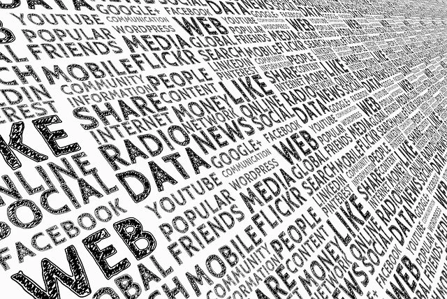 Support for preparation of an impact assessment to accompany an EU initiative on the European Media Freedom Act