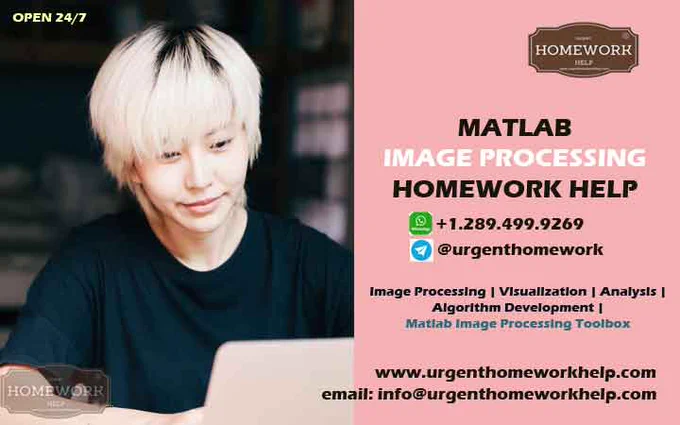 Matlab image processing homework help. All functionalities of Matlab Image Processing Toolbox supported by top Matlab experts. Matlab homework help for image processing, visualization, algorithm development, analysis & more. Contact us for urgent Matlab programming homework help.