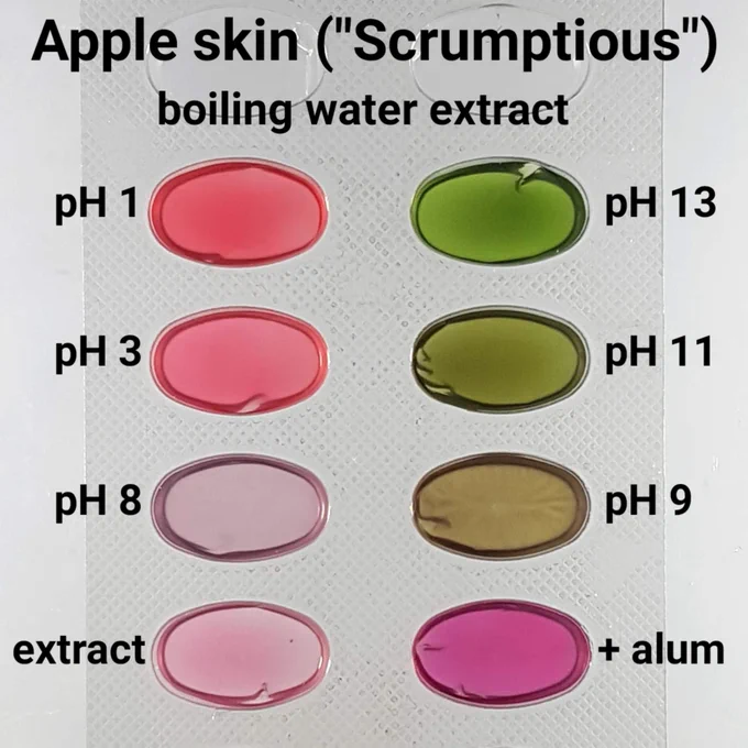 A blister pack, wells filled with apple extract whose pH has been adjusted. At pH 1 the extract is red. It's deep rose pink at pH 3, lilac at pH 8, brownish at pH 9, olive green at pH 11 and dark apple green at pH 13. The extract itself is pink and the aluminium complex is dark magenta.