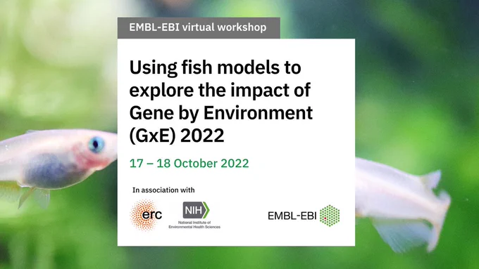 EMBL-EBI virtual workshop. Using fish models to explore the impact of Gene by Environment (GxE) . 17 - 18 October 2022. EMBL-EBI logo. 