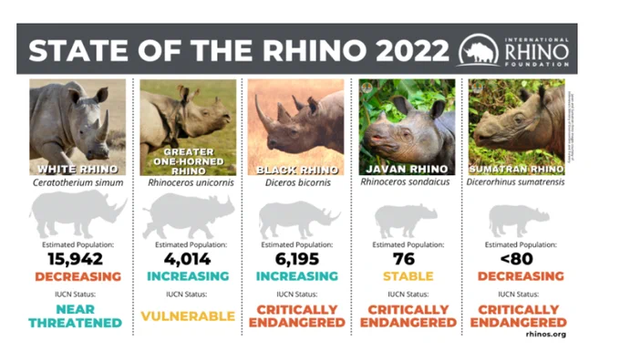 Photo from the International Rhino Foundation 