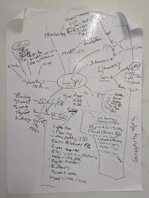Poster/whiteboard of clinical reasoning, systems thinking and red flags from the graduate development programme 2022 study days 