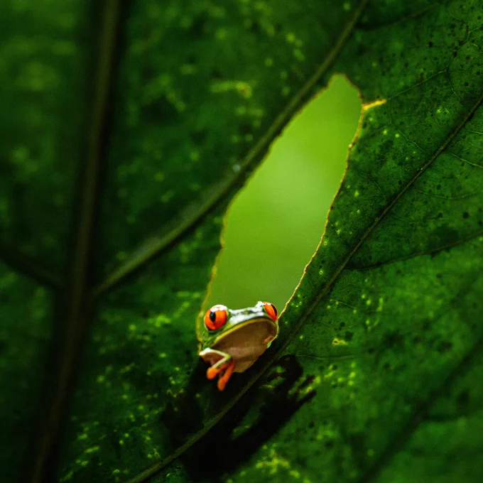 Photo by <a href="https://unsplash.com/@bist31?utm_source=unsplash&utm_medium=referral&utm_content=creditCopyText">Birger Strahl</a> on <a href="https://unsplash.com/s/photos/costa-rica?utm_source=unsplash&utm_medium=referral&utm_content=creditCopyText">Unsplash</a>
  