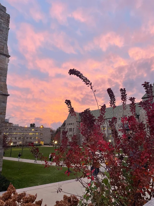 BC campus at sunset with red flowers in foreground 