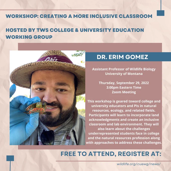 A flyer promoting the workshop, which includes a photo of Erim holding a small turtle. The text on the flyer reads as follows: ⁠
⁠
Workshop: Creating a more inclusive classroom⁠
⁠
Hosted by TWS' College & University Education Working Group⁠
⁠
Dr. Erim Gomez⁠
Assistant Professor of Wildlife Biology⁠
University of Montana ⁠
⁠
Thursday, September 29, 2022⁠
3:00pm ET⁠
Zoom Meeting⁠
⁠
This workshop is geared toward college and university educators and PIs in natural resources, ecology, and related fields. Participants will learn to incorporate land acknowledgments and create an inclusive classroom and lab environment. They will also learn about the challenges underrepresented students face in college and the natural resources profession along with approaches to address these challenges.⁠
⁠
Free to attend, register at:⁠
https://wildlife.org/cuewg/news/⁠