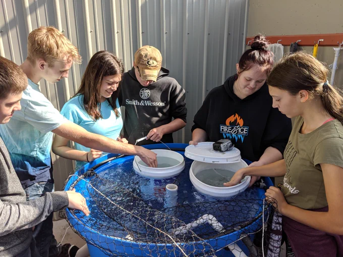 Washburn students stocking walleye into their aquaculture system