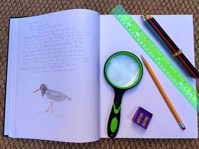 Drawing of a black-and-gray shorebird with a long red bill and orange legs on the left page of a journal entry, with a pencil, colored pencils, pencil sharpener, ruler and magnifying glass on the right page
