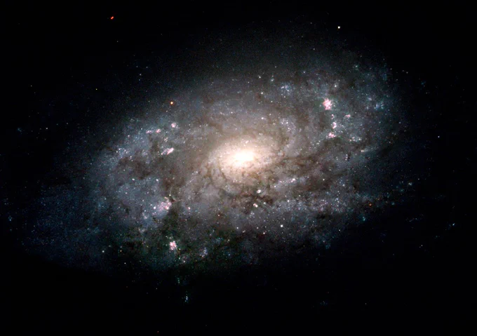  Like our Milky Way, the galaxy NGC 3949 has a disk full of young, blue stars peppered with pink star-birth regions. In contrast to the blue disk, the galaxy's bright center is made up of mostly older stars and appears more yellow.