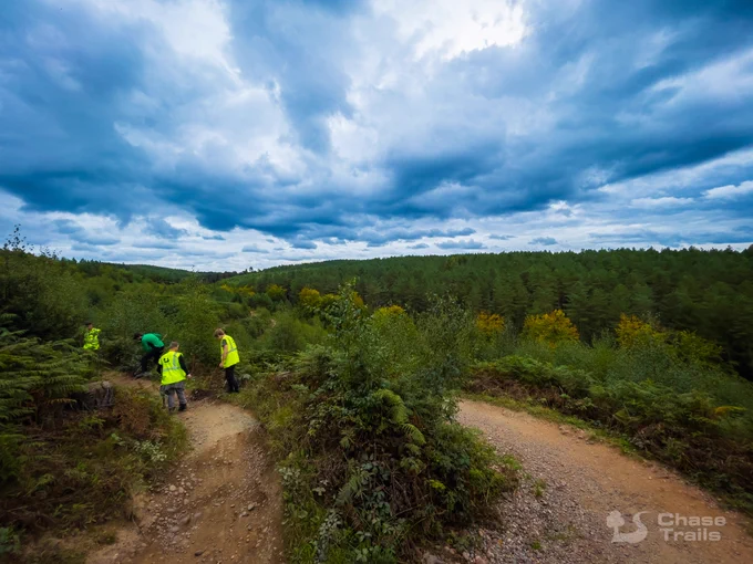 A scenic view over the Monkey Trail mountain bike trail at Cannock Chase forest, showing some volunteers working on the trail with hand tools.