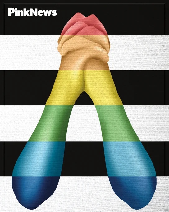 Image shows the ally flag: two arms and hands clasped, in rainbow colours, against a black and white striped background.