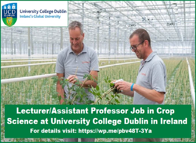 📌 Lecturer/Assistant Professor Job in Crop Science at University College Dublin in Ireland 🇮🇪... Please share and spread the word! For details visit the link below👉 https://wp.me/pbv48T-3Ya