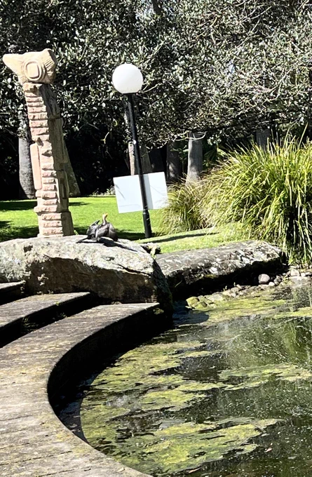 Warming up after a swim