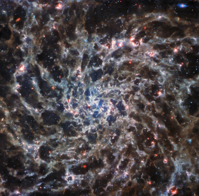 Image of galaxy IC 5332 as taken by the Webb telescope’s MIRI instrument, resembling gray cobwebs in the shape of a spiral. These “cobwebs” are patterns of gas spread throughout the galaxy. The core of the galaxy glows a dark blue. Stars, seen as tiny blue dots, are scattered throughout the image. There are also sparser, larger red dots spread out among the spiral arms. The background of the image is dark.