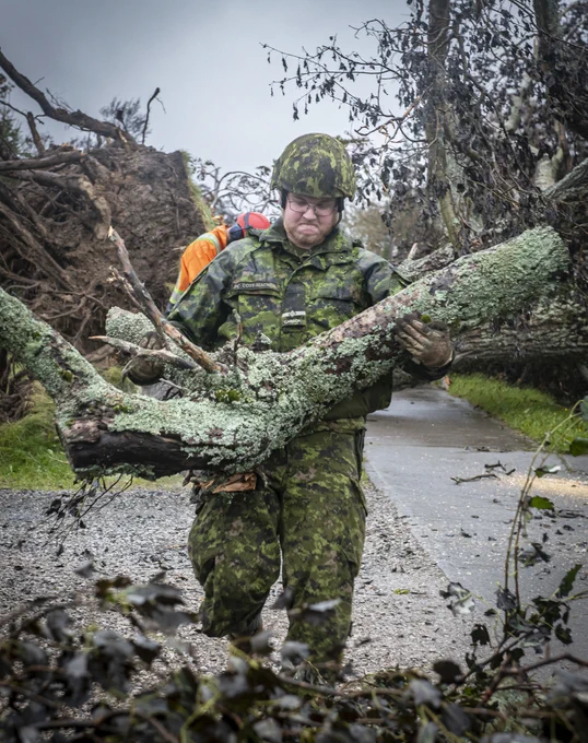 CAF members clear fallen trees from a road.