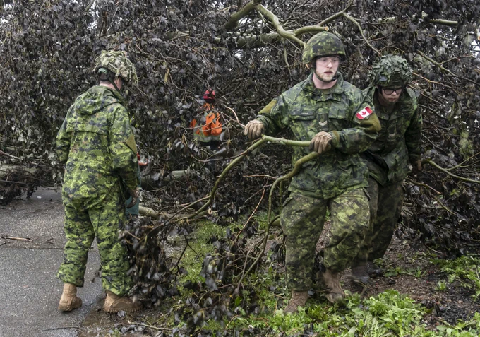 CAF members clear fallen trees from a road.