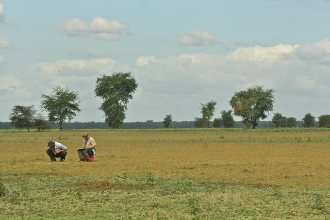Researchers surveying vegetation in the floodplain at Gorongosa National Park, Mozambique. We are seeking collaborative and kind folks to join the lab and build a positive, supportive lab culture. 