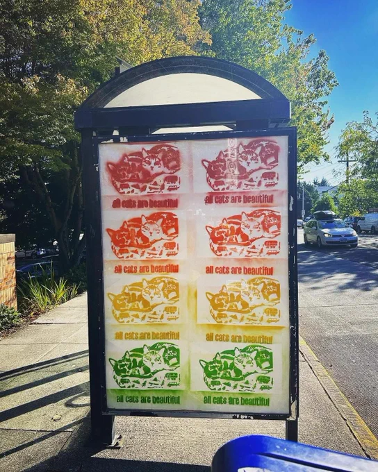 Numerous multicolour stencils of cats and and words "All Cats Are Beautiful"In a bus stop poster frame