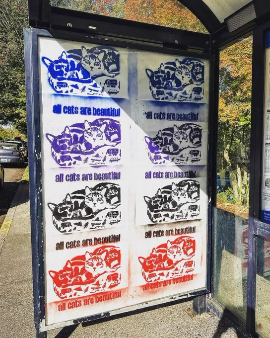 Numerous multicolour stencils of cats and and words "All Cats Are Beautiful"In a bus stop poster frame