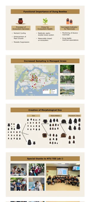 Some of my favourite slides from my presentation, highlighting the functional importance of dung beetles, sampling sites in Singapore, the creation of a morphological key, and the support of the Tropical Ecology and Entomology Lab in Nanyang Technological University, Singapore.