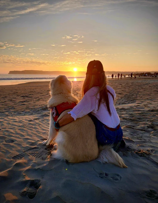 A woman is kneeling down with her arm around a service dog as they watch the sunset