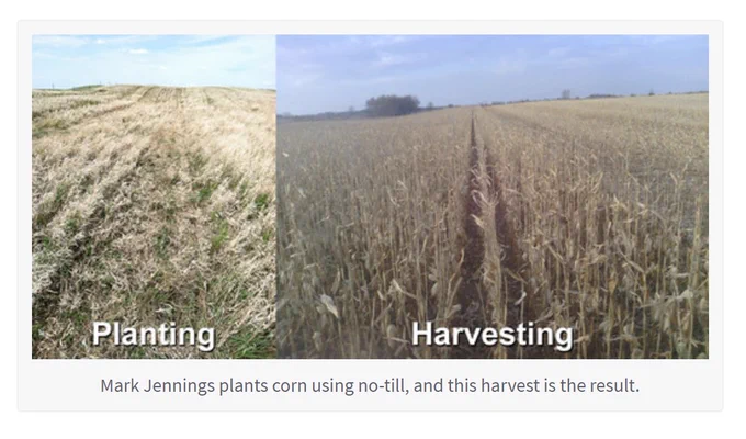 planting and harvesting images showing the results of no-till.