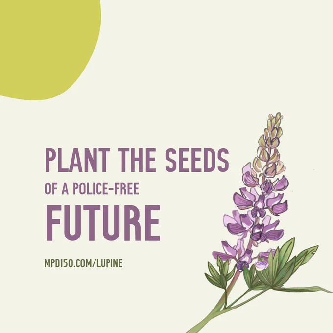 a graphic featuring the text "plant the seeds of a police-free future: mpd150.com/lupine   an illustration of a lupine
