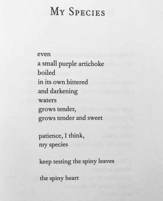 My species

even 
a small purple artichoke 
boiled 
in its own bittered 
and darkening 
waters 
grows tender, 
grows tender and sweet 

patience, I think, 
my species 

keep testing the spiny leaves 
the spiny heart