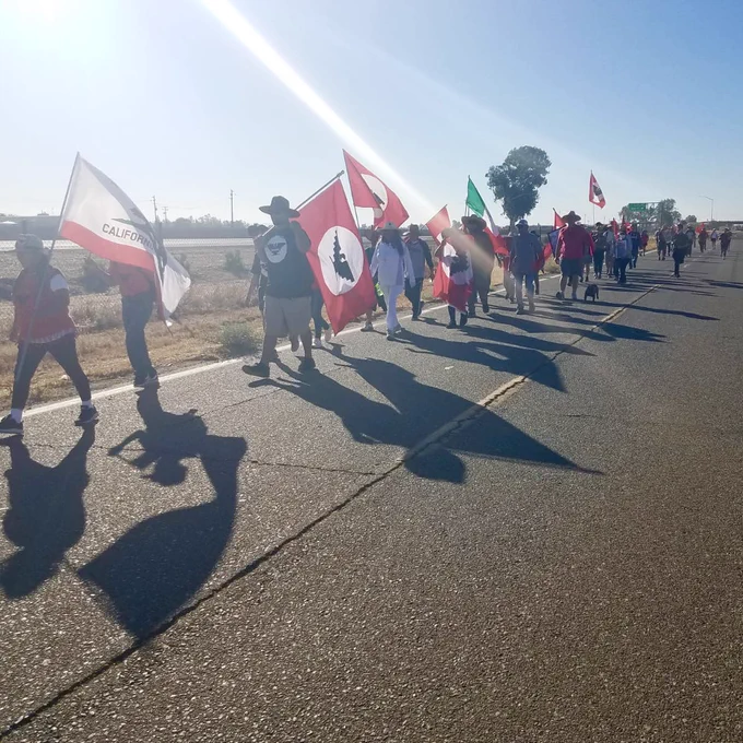 A row of farm workers carrying flags is marching along a sun baked rural highway.