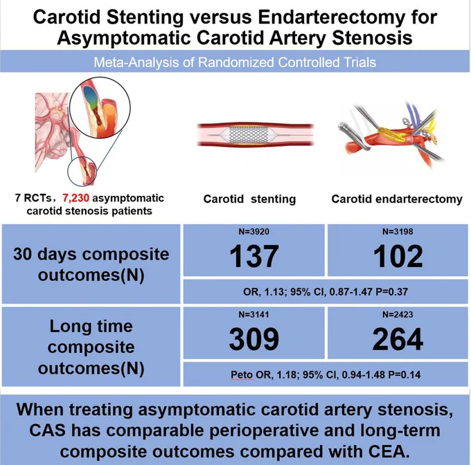Graphic abstract in J. Wang, X. Bai, and T. Wang et al.