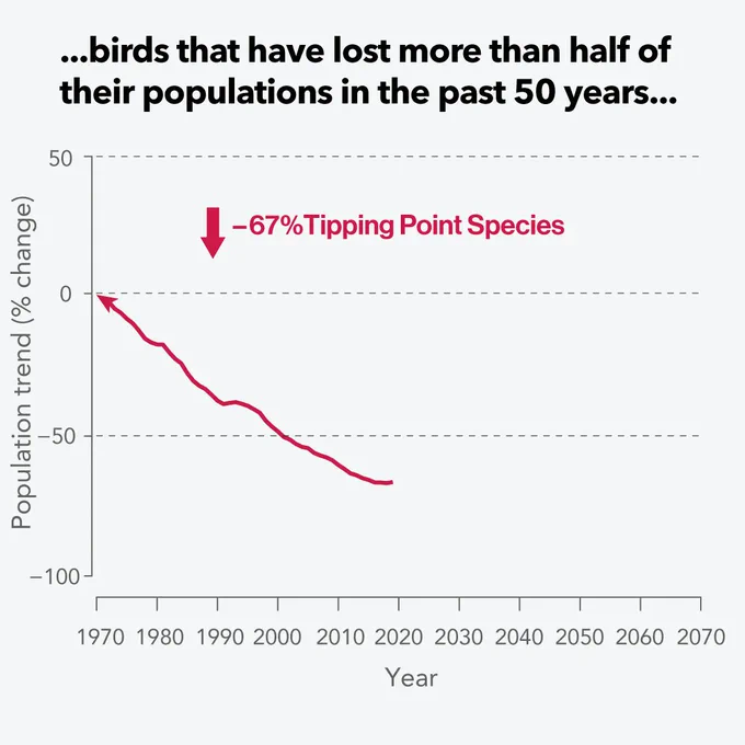 [Image description: Slide 2: Graph showing a 67% decline in tipping point species that have lost more than half of their populations in the past 50 years.]