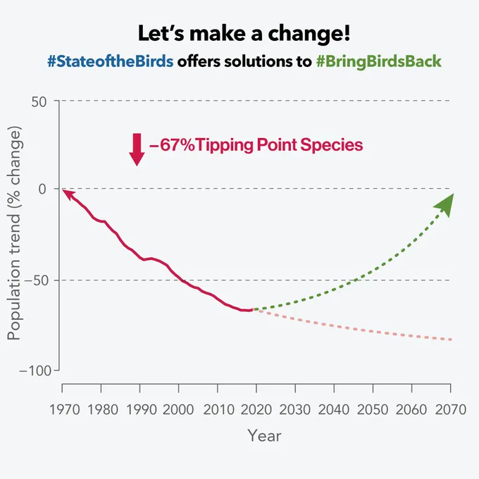 [Image description: Slide 4: Graph showing a dotted green line to indicate positive change. Let’s make a change: #StateOfTheBirds offers solutions to #BringBirdsBack.]