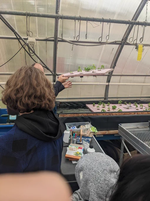 Plants growing in water.
