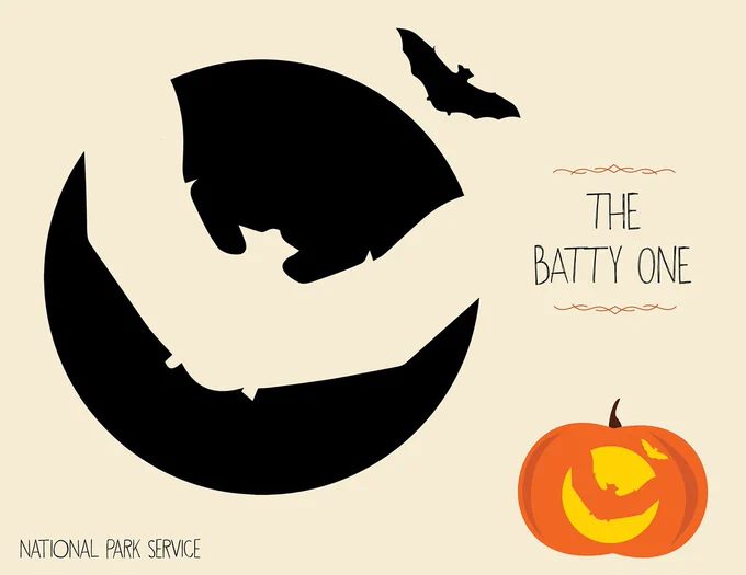 Graphic of a large bat cutout with the words, the batty one.