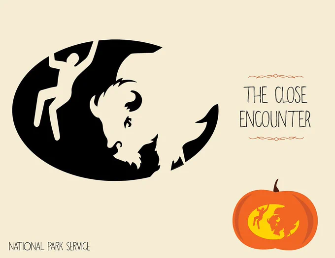 Graphic of a bison with human figure in air and the words, the close encounter.